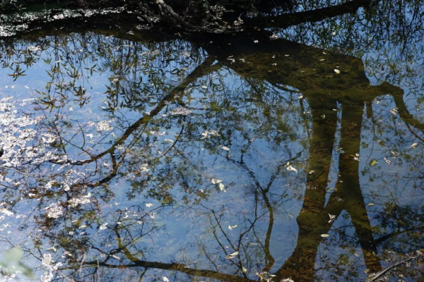 秋遊賓陽陳平和平谷，探尋原始秘境