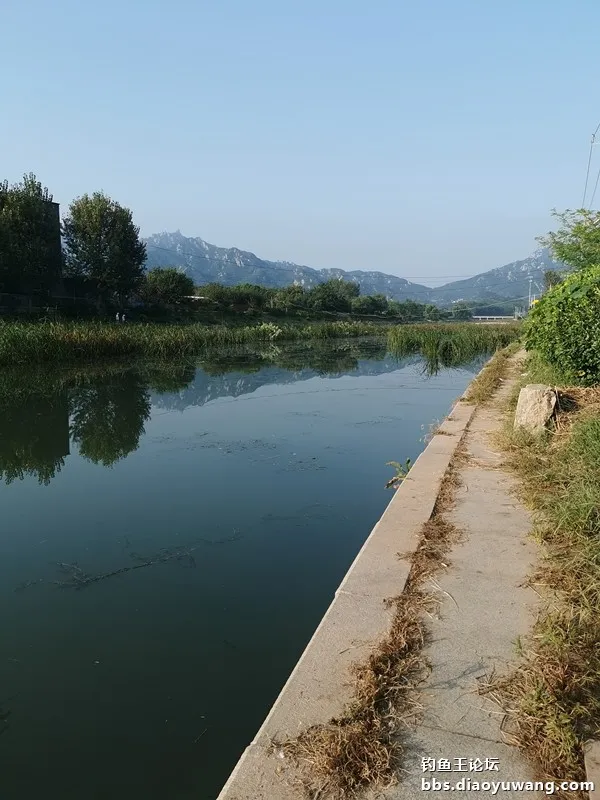 小河魁拔情開光，爽拉小鯽單杆過百