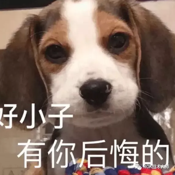 萬國覺醒丨最強執政官——混分技巧