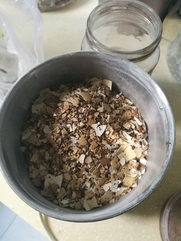 廚餘垃圾處理好,變廢為寶成花肥,好用還省錢 廚餘垃圾處理好,變廢為寶成花肥,好用還省錢