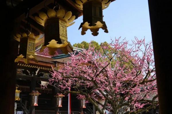 冬天的京都，去這些地方玩會更有趣