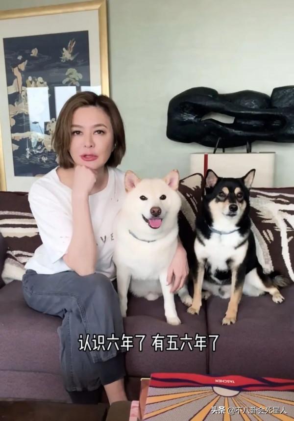 億萬家產無兒女繼承的7位明星，有人把56億捐出去，有人給養子