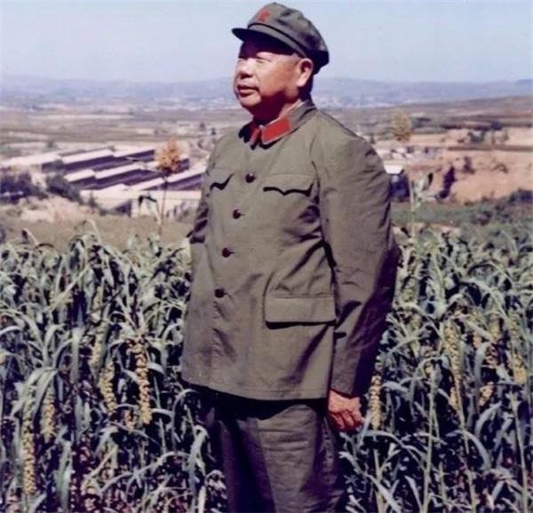 上甘嶺戰役的4個功臣師長,他們都是誰?1955年授予什麼軍銜? 上甘嶺戰役的4個功臣師長,他們都是誰?1955年授予什麼軍銜?