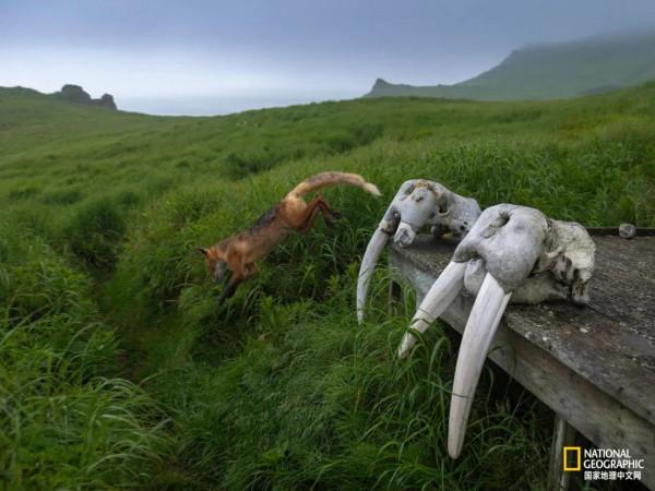 滌盪人心!2021最美旅行照片 滌盪人心!2021最美旅行照片