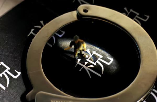 賣家“陰陽合同”隱瞞亞馬遜收入，被追罰210萬元