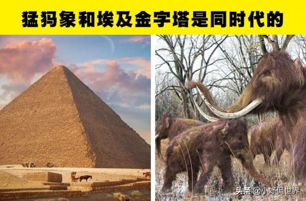 看起來像編造的小說,但屬於真實歷史的8個奇怪事實 看起來像編造的小說,但屬於真實歷史的8個奇怪事實