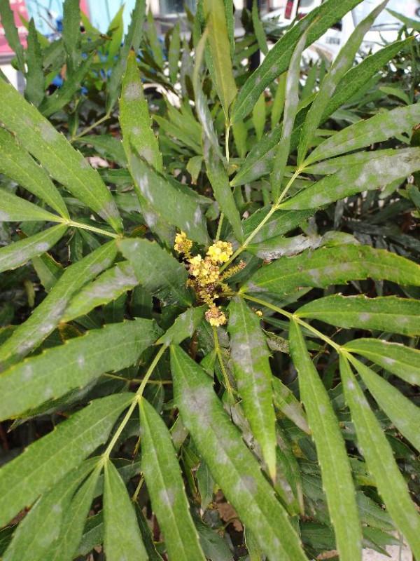 釣組靈敏度的靈魂——鉤目理論 釣組靈敏度的靈魂——鉤目理論