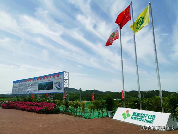 四川女首富:身價比孫宏斌高出229億,她究竟是何方神聖? 四川女首富:身價比孫宏斌高出229億,她究竟是何方神聖?