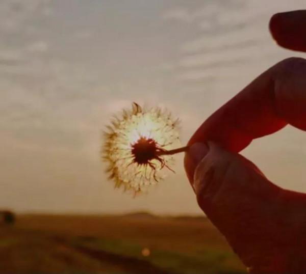 看到大媽的結局,我覺得一個70後的養老還得靠自己 看到大媽的結局,我覺得一個70後的養老還得靠自己