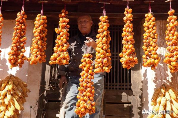 農民大爺把“柿子開花”變美味，10元1斤成搶手貨，如手提錢串串