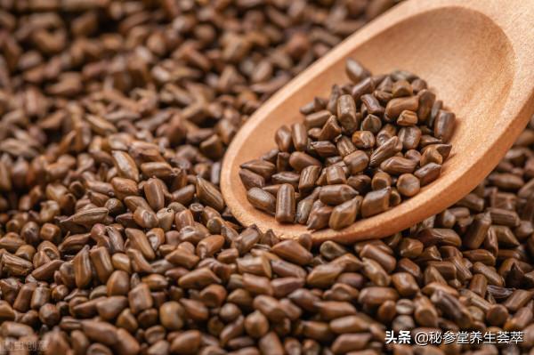 決明子茶喝多了會拉肚子嗎