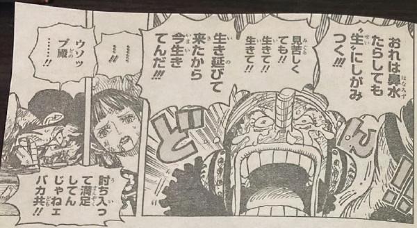 海賊王1036話情報：烏索普諷刺武士文化，燼認為凱多是喬伊波伊