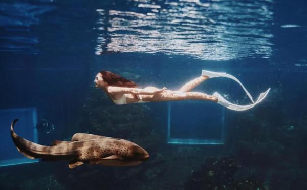 這輩子不後悔學了潛水;水下真的太美好了 這輩子不後悔學了潛水;水下真的太美好了