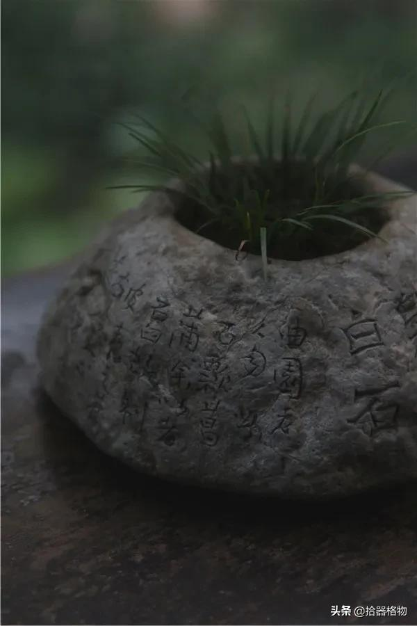 王大濛：鑿盆種蒲