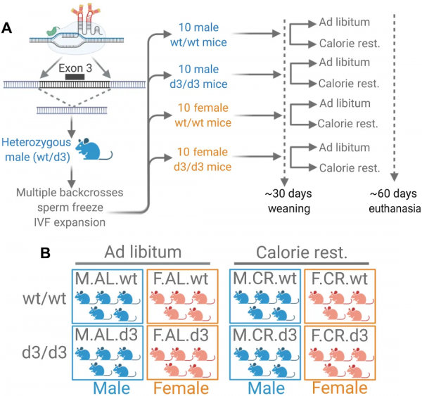 我國計劃今年發射首顆太陽探測衛星，NSFC​對結餘資金不再執行兩年收回政策 | 一週科技導讀