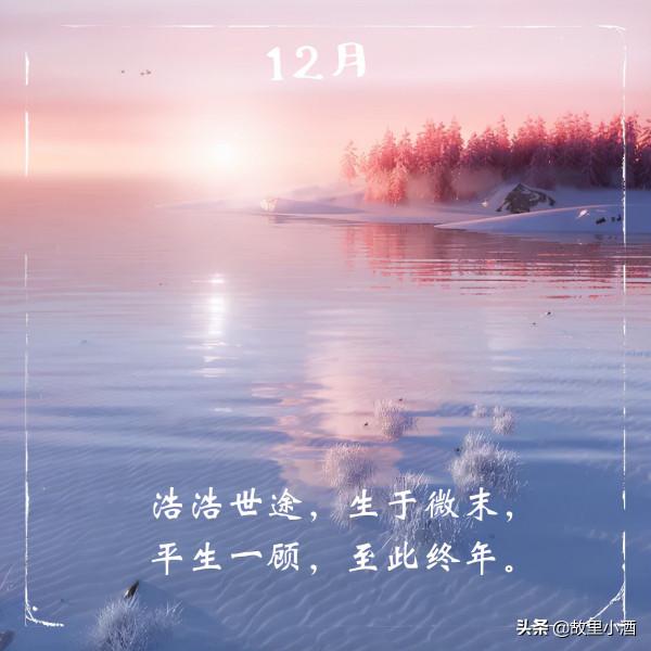 令人愜意的句子：春觀夜櫻，夏望繁星，秋賞滿月，冬會初雪