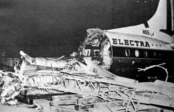 狂熱莎翁粉絲在紐約放飛60只小鳥，百年後竟變成全美國的災難