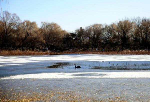 你敢信？一百多年前的皇室就已經開始用“地暖”了！