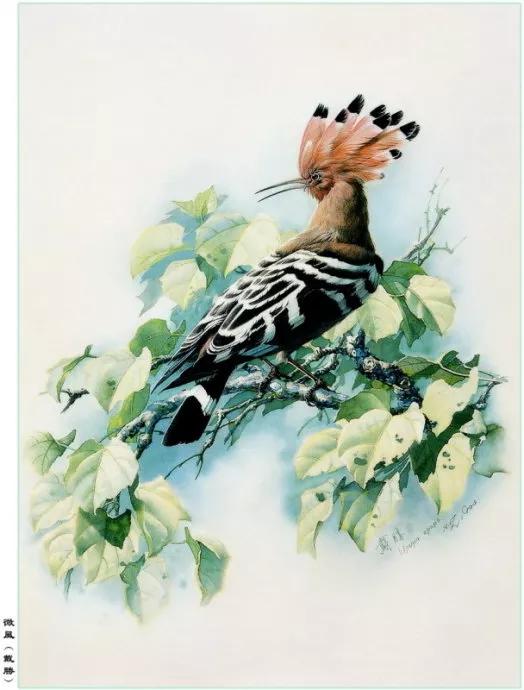 中國動植物畫第一人，曾孝濂極品工筆畫