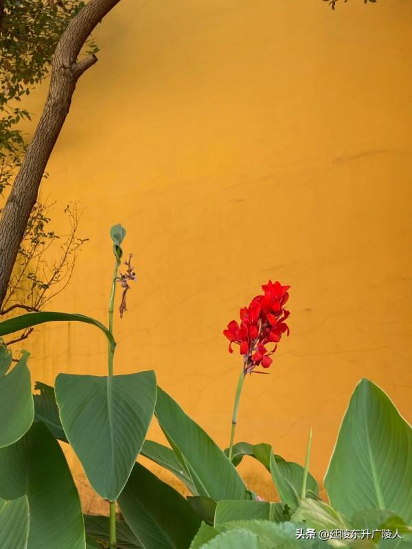 江蘇江陰市蒼山古寺 一代帝王埋身地 千年古寺伴皇陵 江南佛國 江蘇江陰市蒼山古寺 一代帝王埋身地 千年古寺伴皇陵 江南佛國