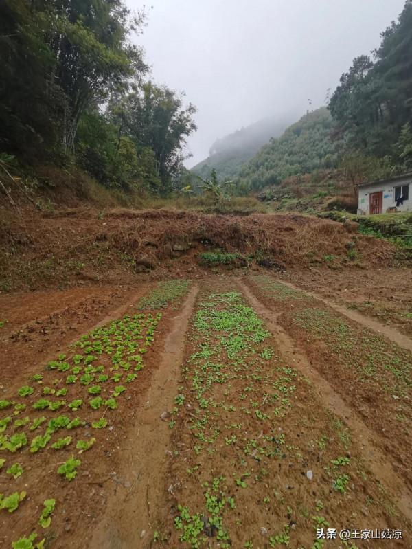 廣西深山美景，這是傳說中的仙境嗎？