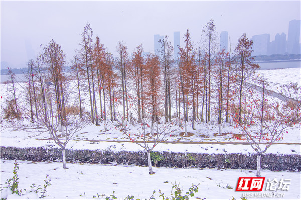 冰天雪地裡看紅裝素裹，感受《沁園春·雪》中壯麗絕美的雪景