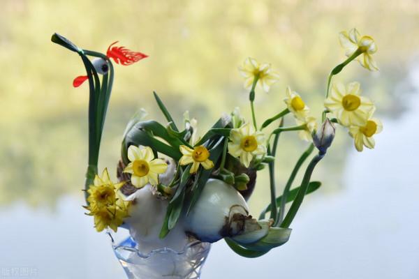 盆景藝術塑美態,別出心裁融好時 盆景藝術塑美態,別出心裁融好時