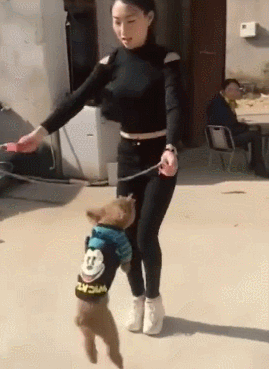 動物會跳繩，跳得比我行