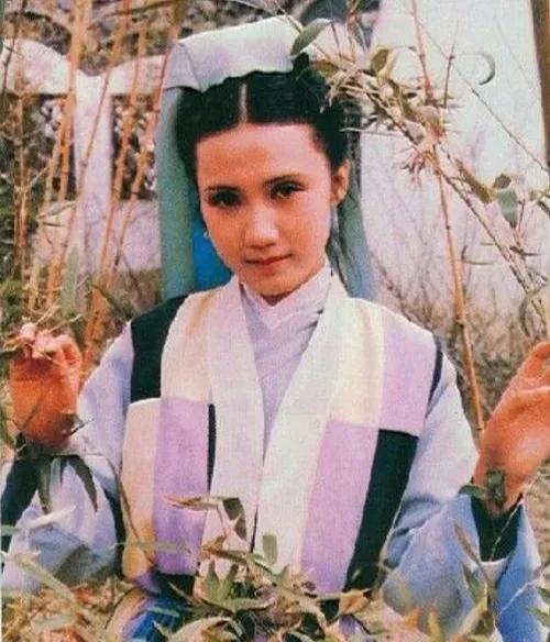 金陵十二釵:紅樓一夢,香消玉殞 金陵十二釵:紅樓一夢,香消玉殞