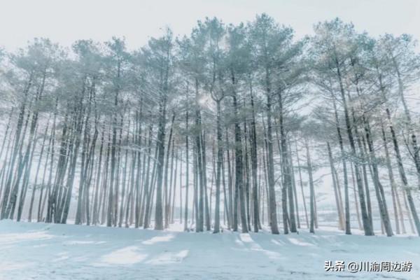四川的“小肯亞”,不要門票開放,卻有遊客知道 四川的“小肯亞”,不要門票開放,卻有遊客知道