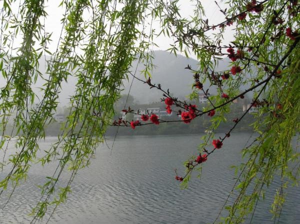 押韻、平仄、孤平、擠韻、撞韻等規矩,格律詩必須都要嚴格遵守? 押韻、平仄、孤平、擠韻、撞韻等規矩,格律詩必須都要嚴格遵守?