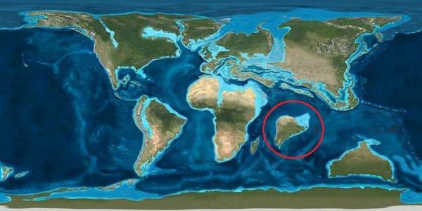 考古重大發現!埃及出土四足“死神鯨”,鯨魚演化有多傳奇? 考古重大發現!埃及出土四足“死神鯨”,鯨魚演化有多傳奇?