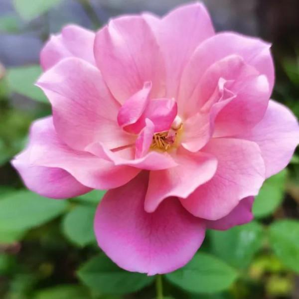 堅持運動是給自己最好的保養品