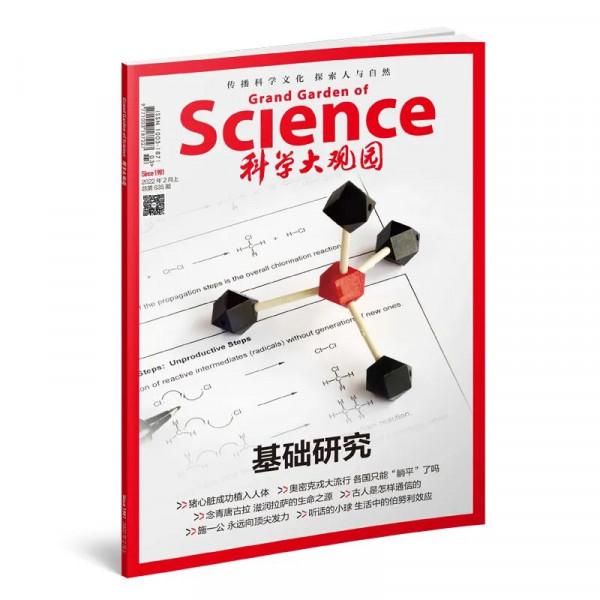 新刊｜《基礎研究》：根深葉方茂