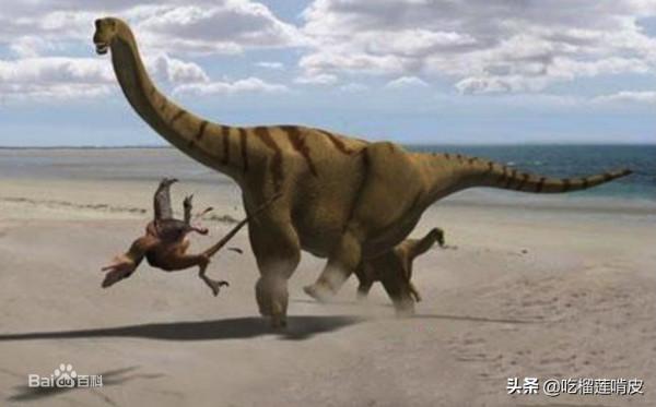 利邁河龍（屬名：Limaysaurus）