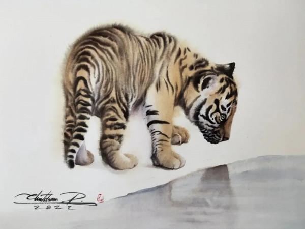 泰國貓王和他的水彩貓帝國