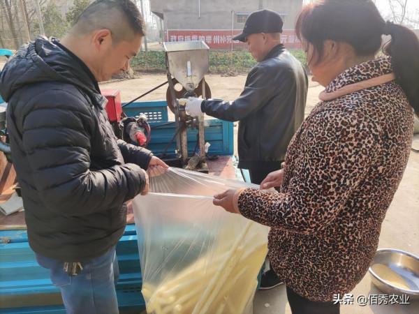 農民從事3份職業，冬天的生意更忙碌，掙錢方式值得借鑑