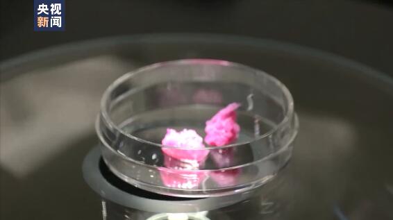 紋理逼真 日本成功研發3D列印“和牛肉” 紋理逼真 日本成功研發3D列印“和牛肉”