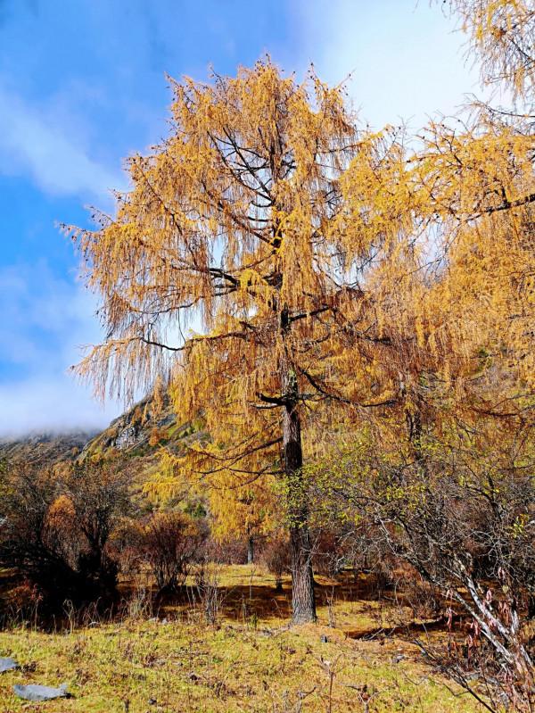 翻山越嶺而來，只為走進徒步天堂，小金瑪嘉溝