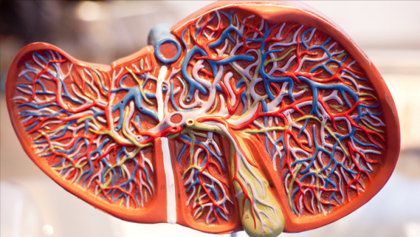 長期服藥的人，當心藥物性肝損傷！這幾種藥易傷肝，儘量別亂吃