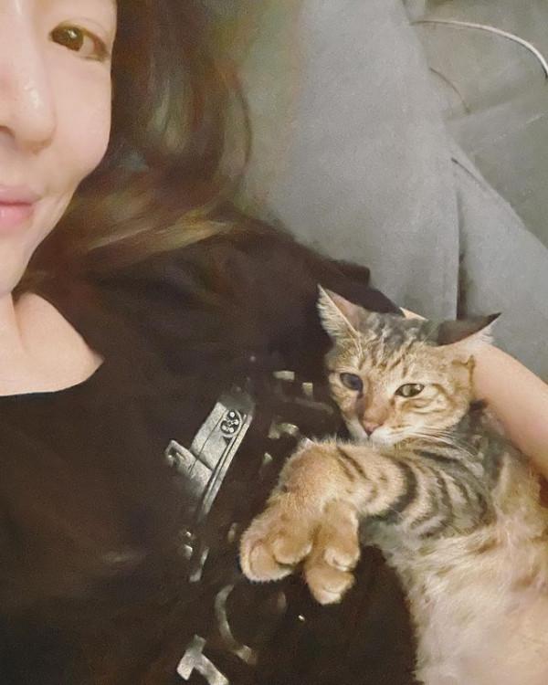 林心如和舒淇成為養貓達人,抱貓咪出鏡笑個不停,場面很溫馨 林心如和舒淇成為養貓達人,抱貓咪出鏡笑個不停,場面很溫馨