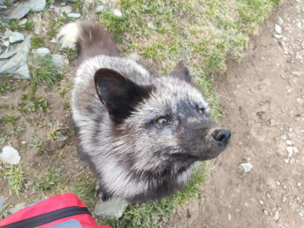 徒步五臺山，大霧中前行，風雲變幻，有計劃去的帶好裝備