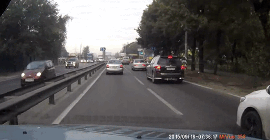 90個神奇照片，剛出生的小刺蝟，大白鯊的驚人尺寸，水上麻將桌椅