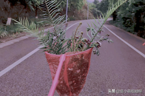 關於掙錢，你需要知道的8個真相