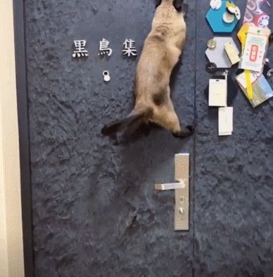 房子住久了才發現，當初裝修看似合理的設計，其實就是智商稅