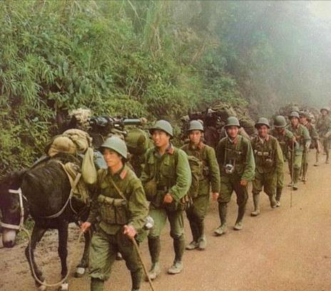 60年代林彪提出的全軍騾馬化，遭到眾人強烈反對，是開歷史倒車？