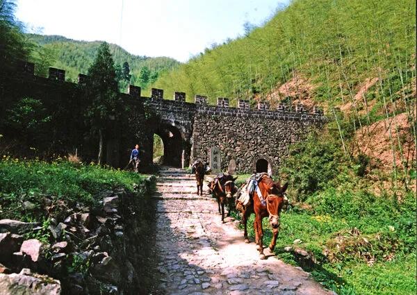 金秋十月!推薦國慶旅遊最值得去的寶藏地!人少景美,世外桃源 金秋十月!推薦國慶旅遊最值得去的寶藏地!人少景美,世外桃源