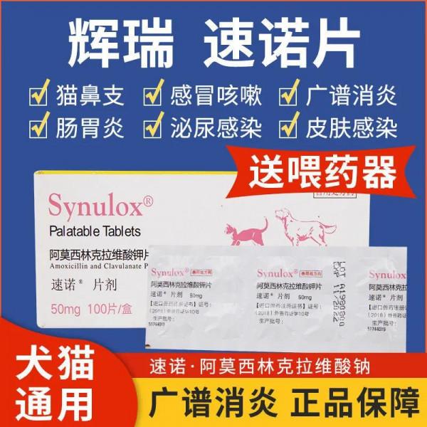 養貓家中常備!鏟屎官們記得收藏 養貓家中常備!鏟屎官們記得收藏