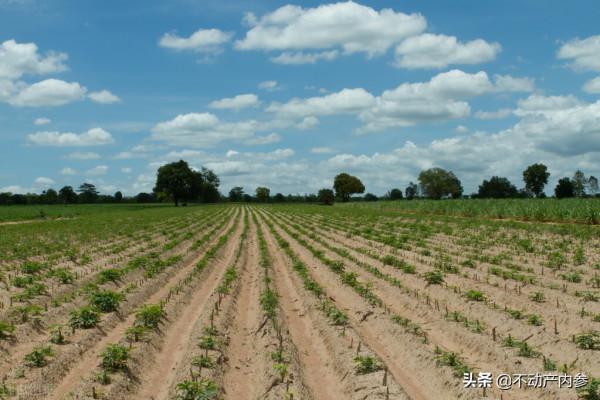 土地有償退出，農民建議&OpenCurlyDoubleQuote;拿地換社保&rdquo;！你怎麼看？