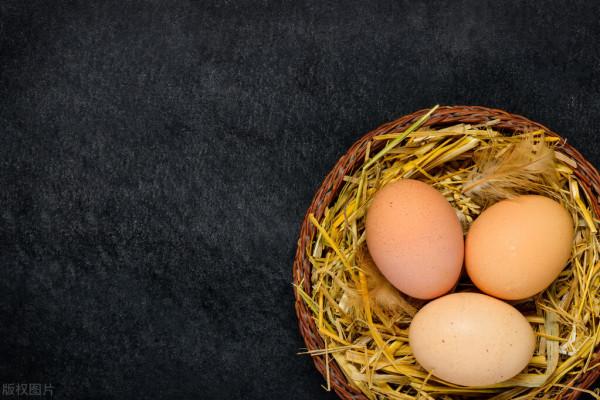 瘦子增肥吃什麼補充蛋白質好?6大高蛋白食物全面對比結果出爐 瘦子增肥吃什麼補充蛋白質好?6大高蛋白食物全面對比結果出爐